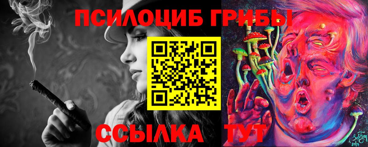 Людиново  Псилоцибиновые грибы Magic Shrooms  Вход с VPN  Псилоцибиновые грибы Cubensis 
